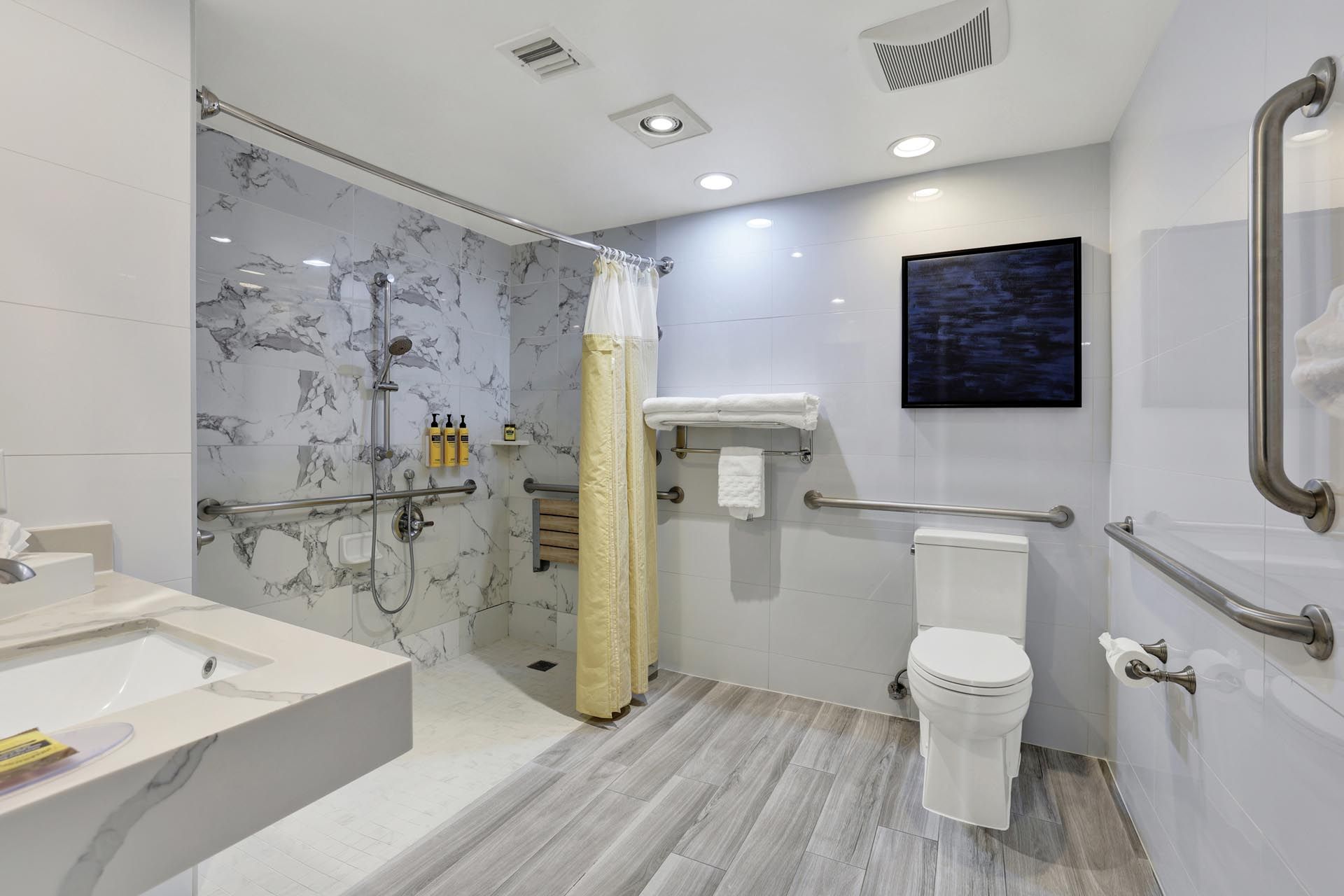 ADA bathroom with a toilet and roll-in shower